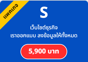 รับทำเว็บไซต์ธุรกิจ แพคเกจไซส์ S